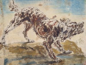Study of a Dog by Jan Fyt